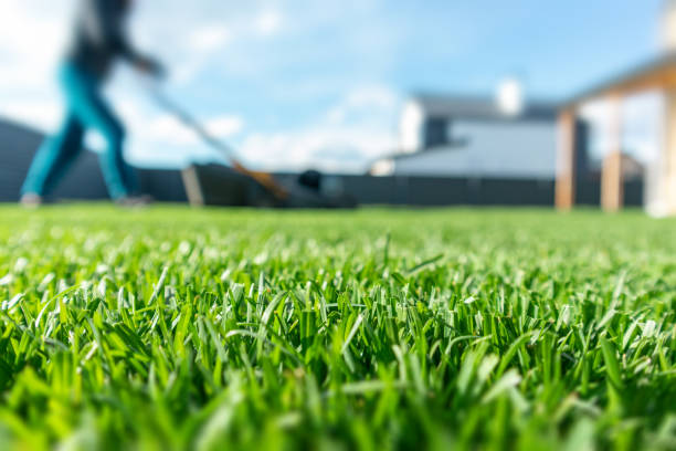 Lawn Care Benefits