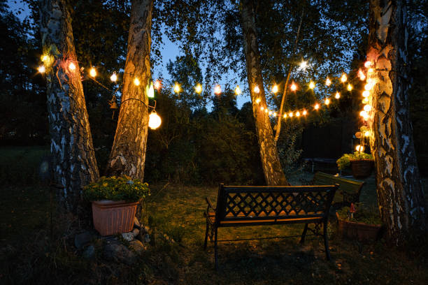 Landscape Lighting